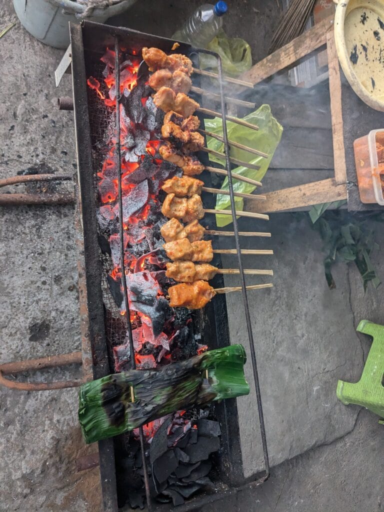 PXL_20240714_223423895 Sate
