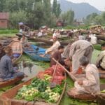 Daily Life In Kashmir - The Floating Market