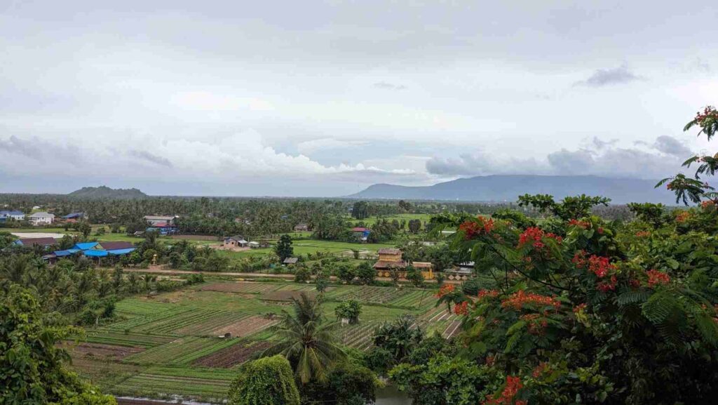 greenery in Kampot, Cambodia.