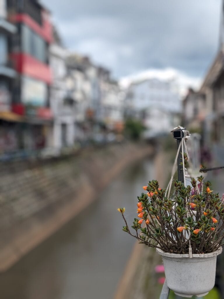 Đà Lạt Food Guide