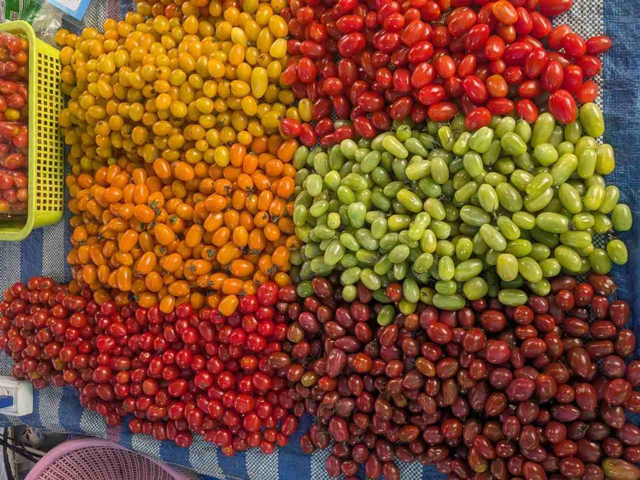 Cherry Tomatoes